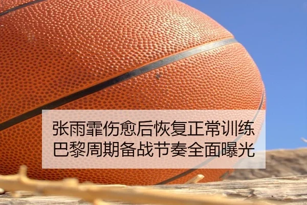 张雨霏伤愈后恢复正常训练 巴黎周期备战节奏全面曝光 - JIUYOUSPORTS